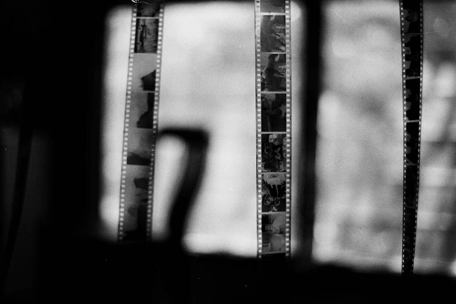 Hanging film negatives.