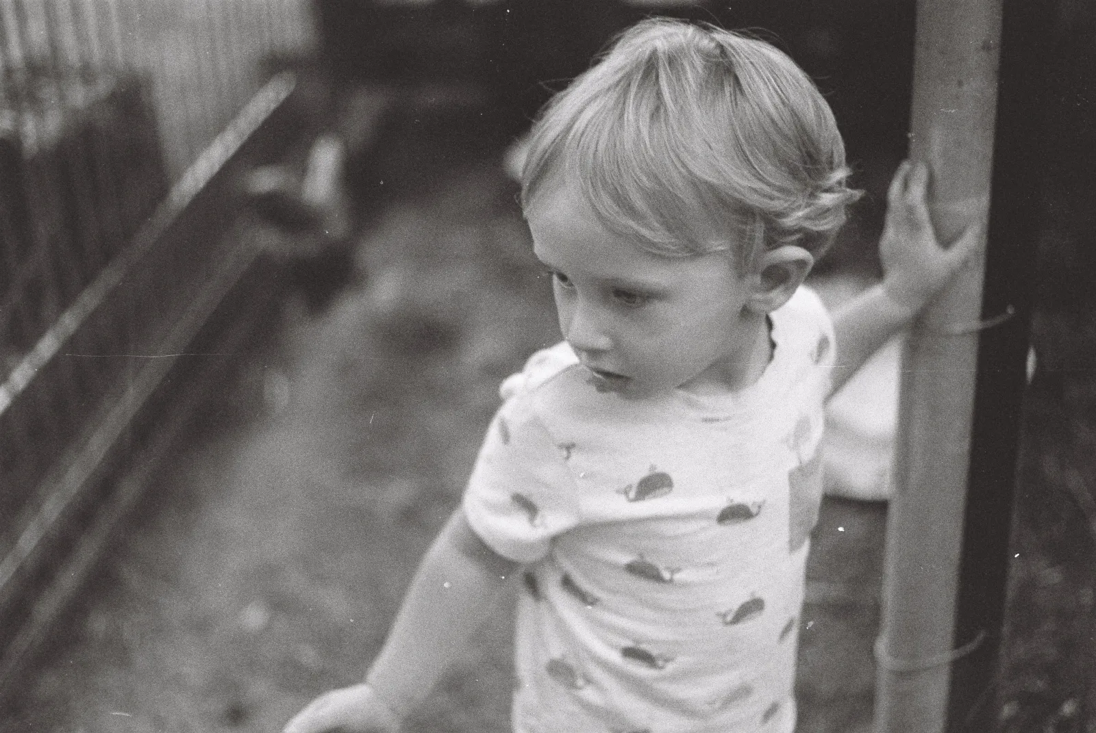 A boy holding a fence.