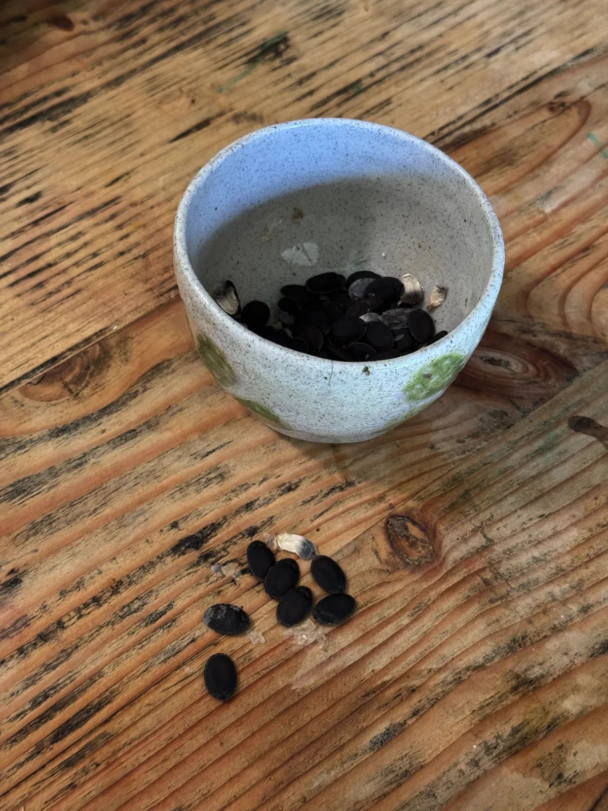 A bowl containing loofah seeds.